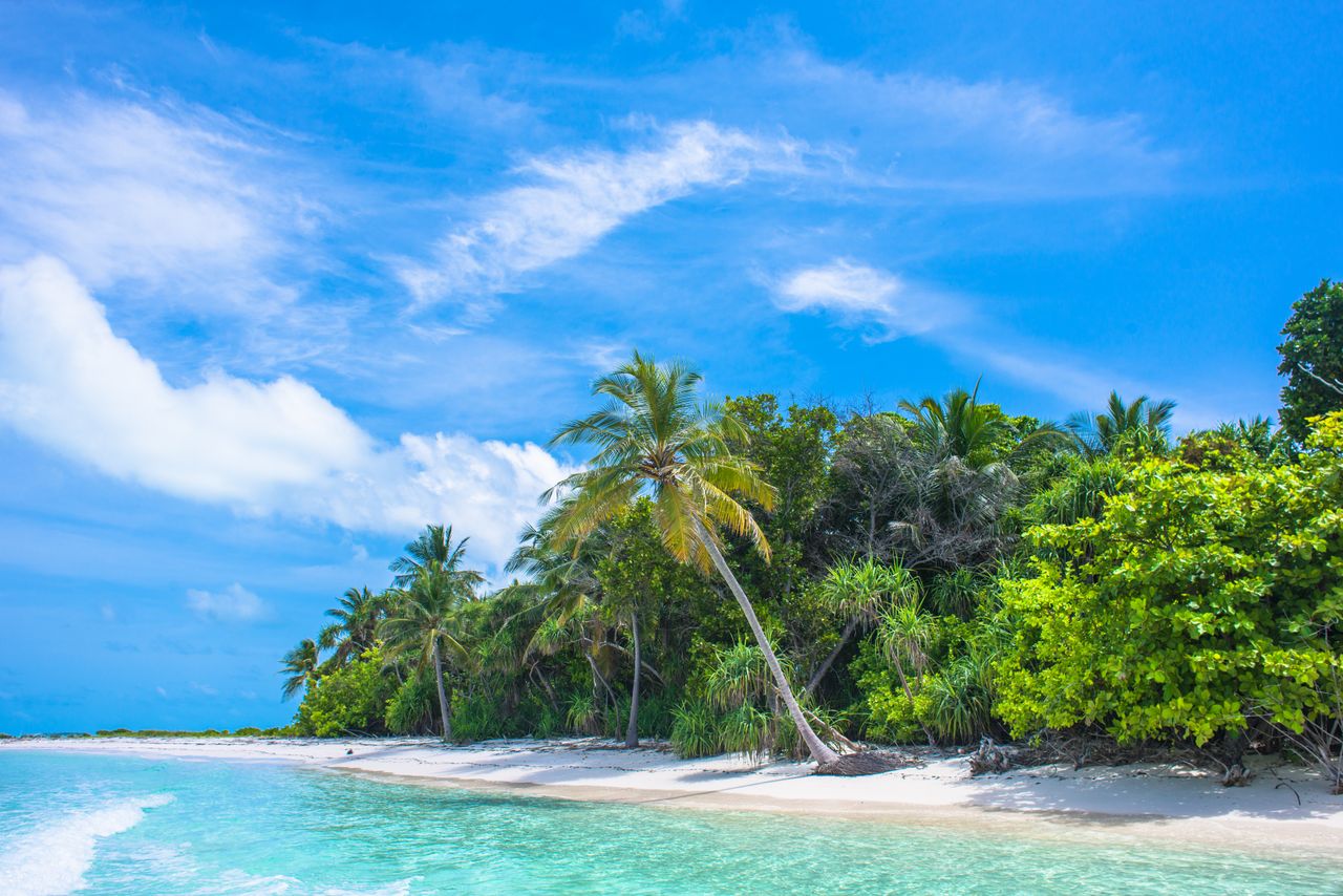 Tropical Paradise
